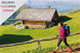 Home e Outdoor