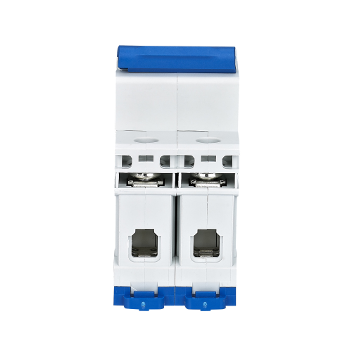 Interruttore magnetotermico 2P 32A 6kA Curva C NB1-63/C32-2P-6 CHINT