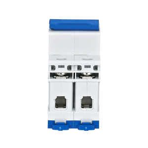 Interruttore magnetotermico 2P 6A 6kA Curva C NB1-63/16-2P-6 CHINT