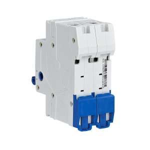 Sezionatore modulare 2P 32A CHINT NH4-125/32-2P