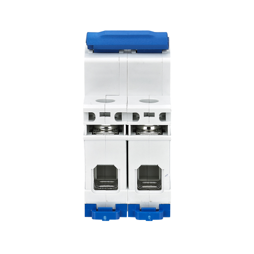 Sezionatore modulare 2P 32A CHINT NH4-125/32-2P