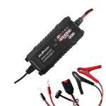 Carica Batteria Switc Auto 6A 6V/12V 1.2-120Ah LiFePO4